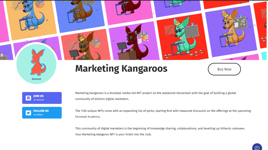 marketing kangaroo landing page