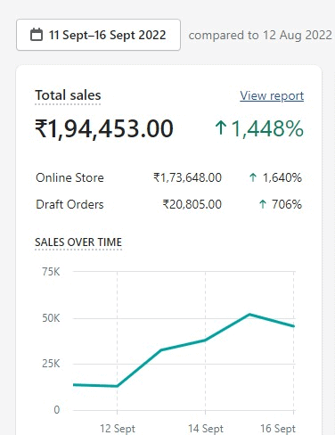 Return of 10.65 For Every Rupee Spent (ROAS) for an ayurvedic brand