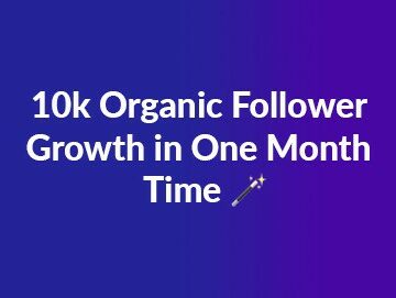 100% Instagram Follower Growth and Engagement Boost for a Fest