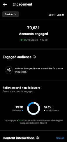 100% Instagram Follower Growth and Engagement Boost for a Fest