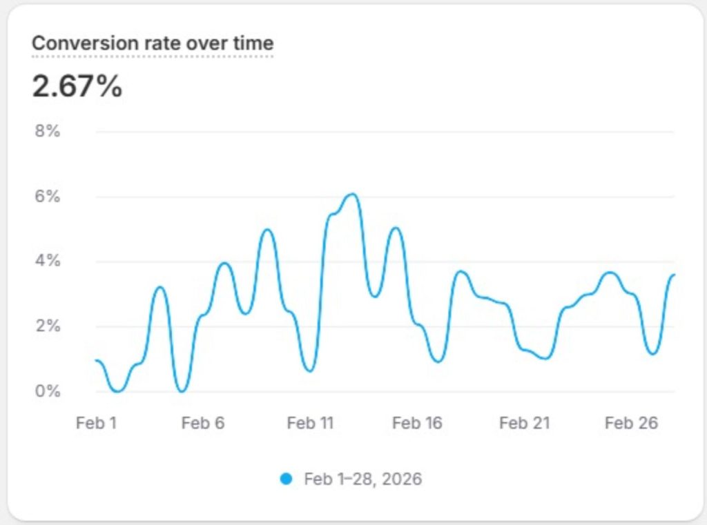 Conversion rate of the Blusteak's ecommerce store set up