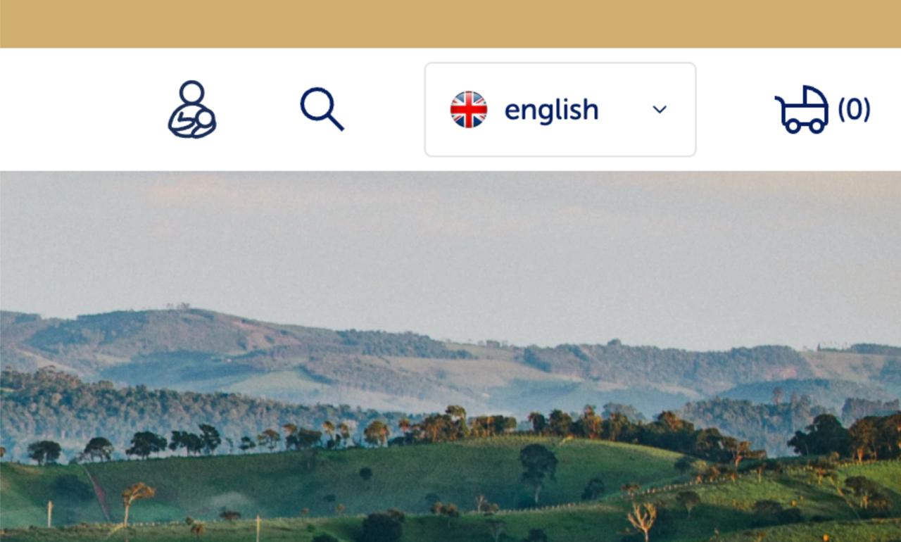 Absence of website pages in the Arabic language