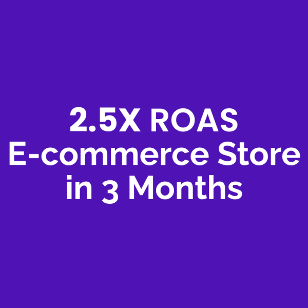 Blusteak Built 2.5X ROAS E-commerce Store in 3 Months