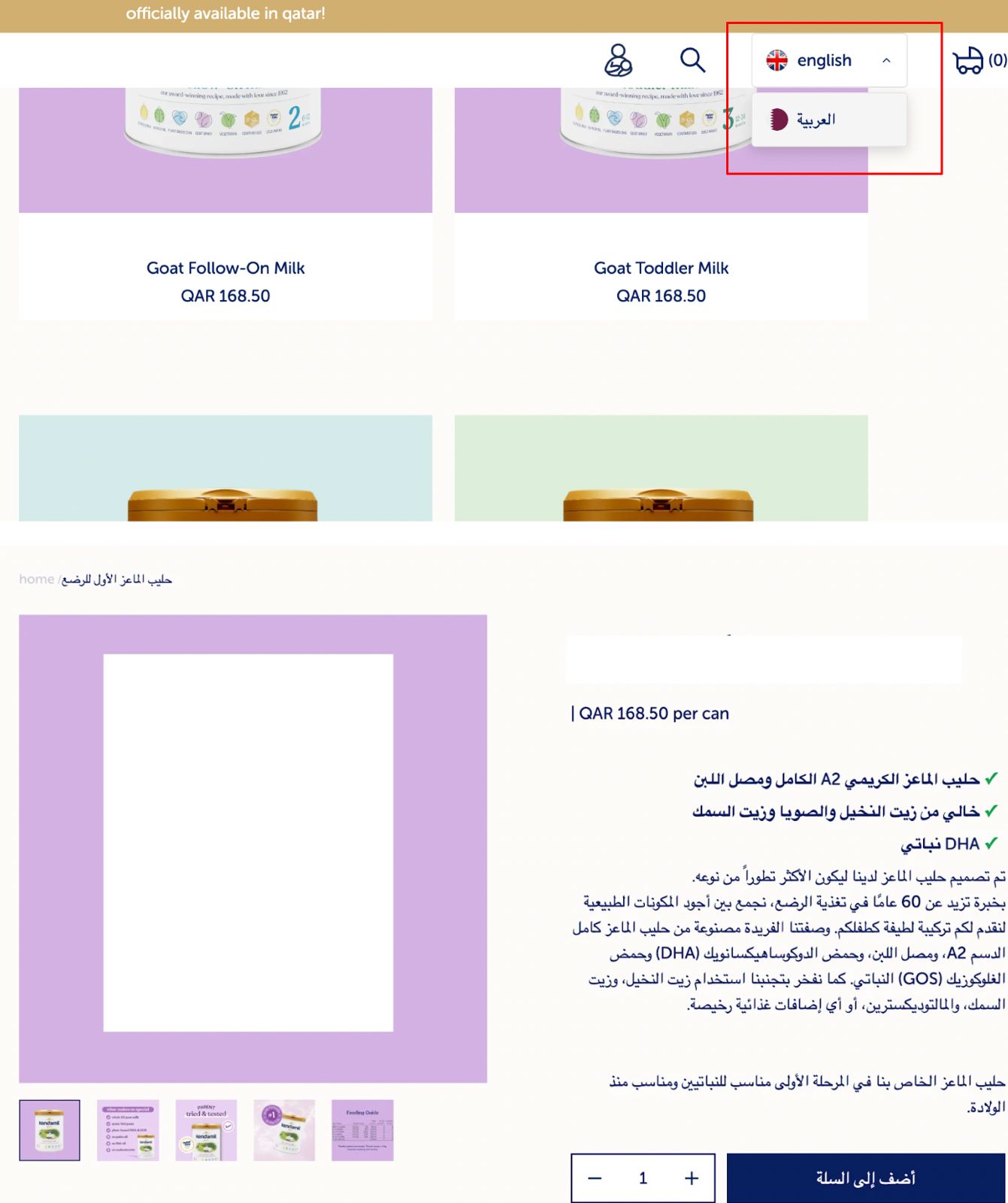 Blusteak translated the website to target the regional customers who speak Arabic