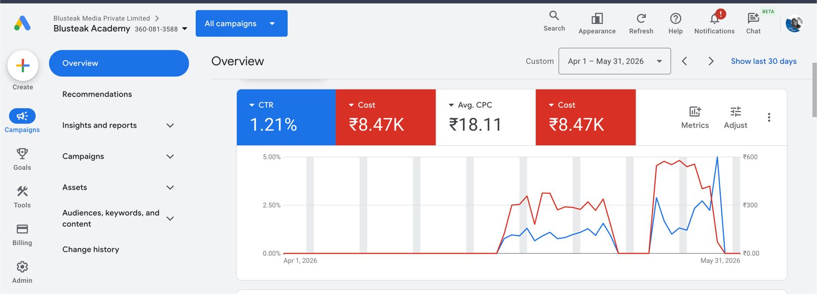 Google Ads campaign overview